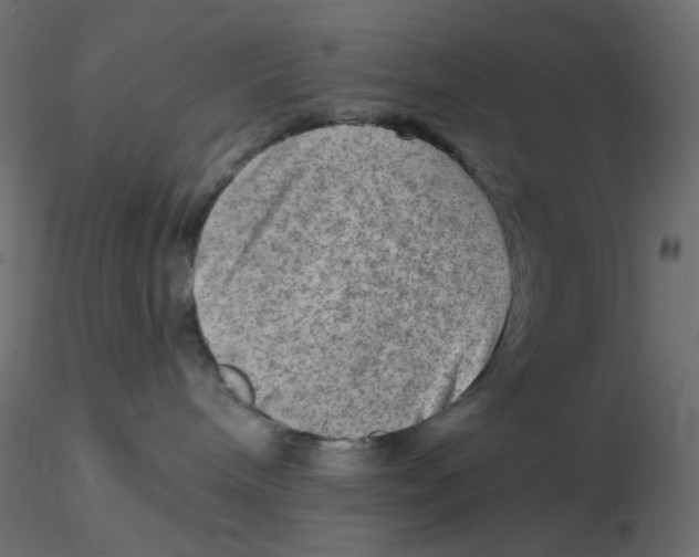 X0000116630240200912312206
