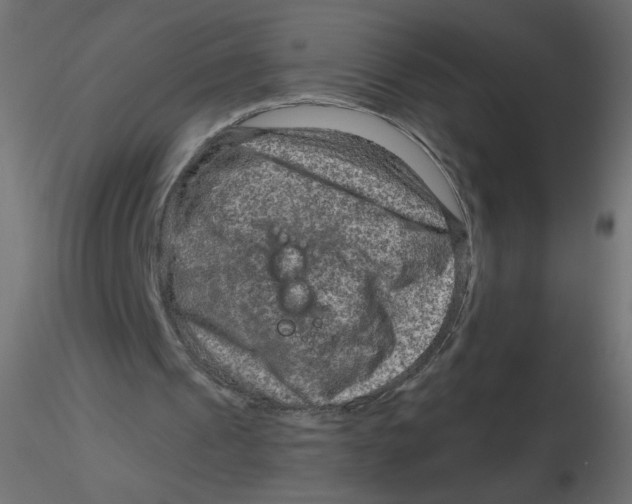 X0000116630241200912312205