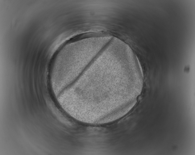 X0000116630242200912312206