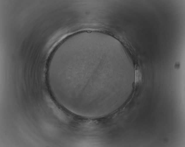 X0000116630243200912312206