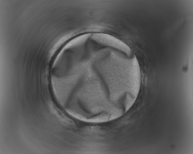 X0000116630244200912312206