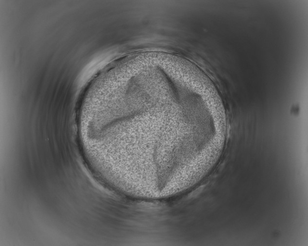 X0000116630245200912312206
