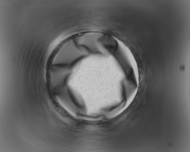 X0000116630246200912312206