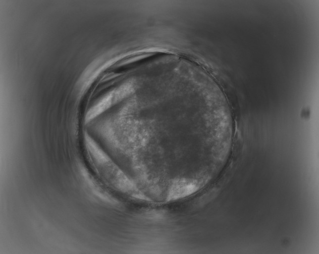 X0000116630247200912312206