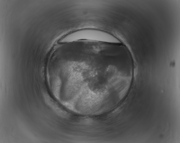 X0000116630249200912312206