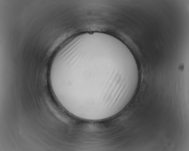 X0000116630250200912312206