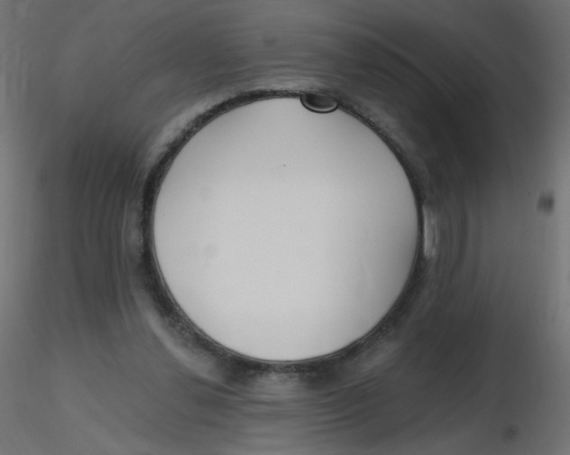 X0000116630252200912312206