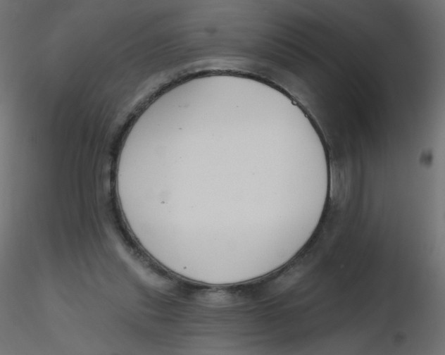 X0000116630253200912312206