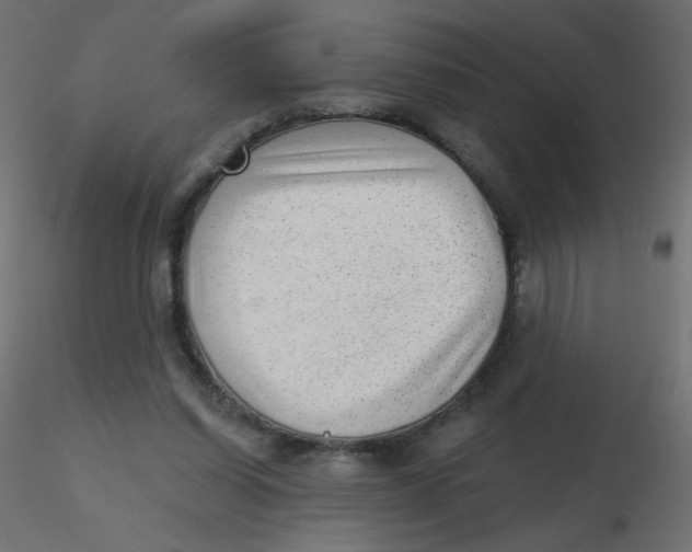 X0000116630254200912312206