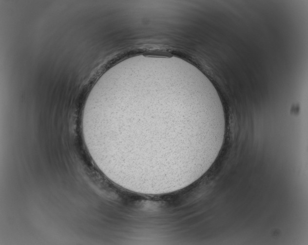 X0000116630255200912312206