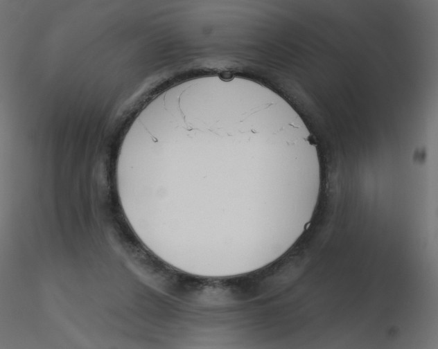 X0000116630256200912312206