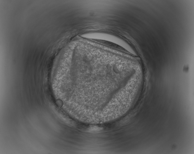 X0000116630257200912312206