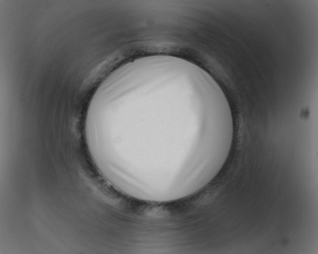 X0000116630258200912312206
