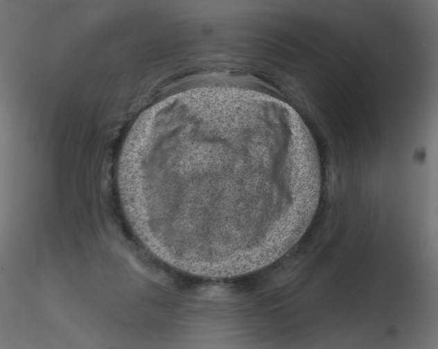X0000116630259200912312206