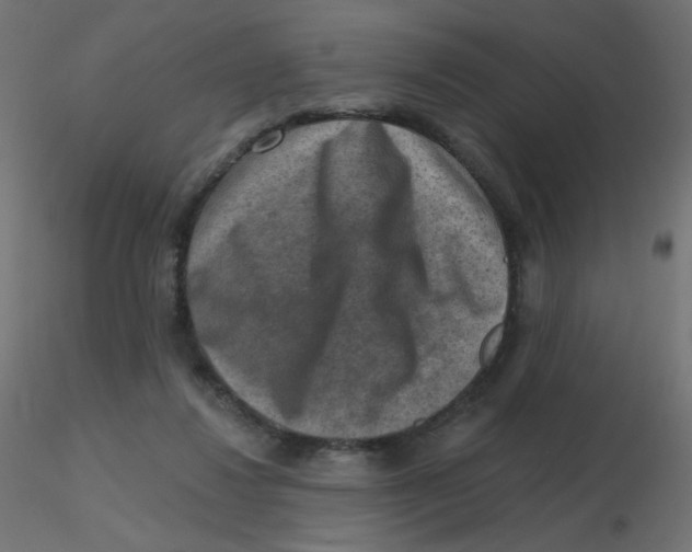 X0000116630260200912312206