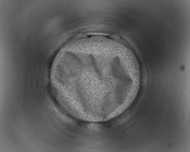 X0000116630261200912312206