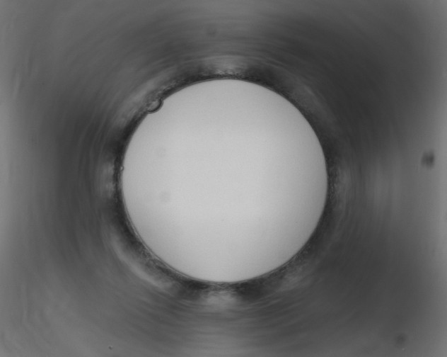 X0000116630262200912312206