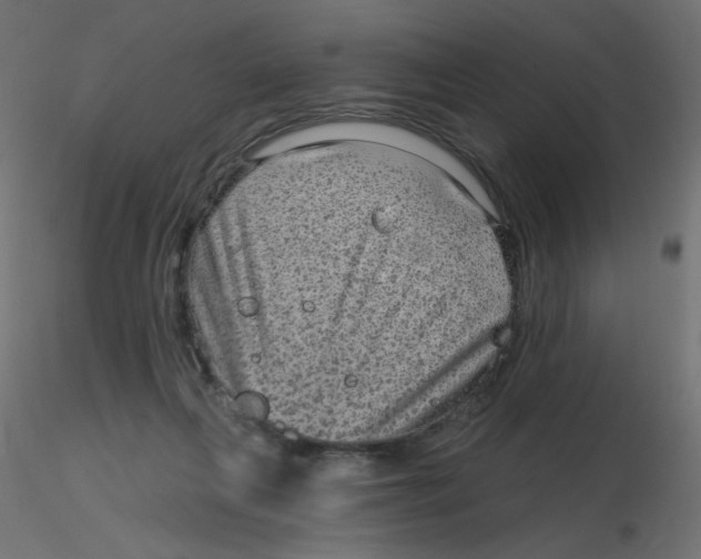 X0000116630263200912312206