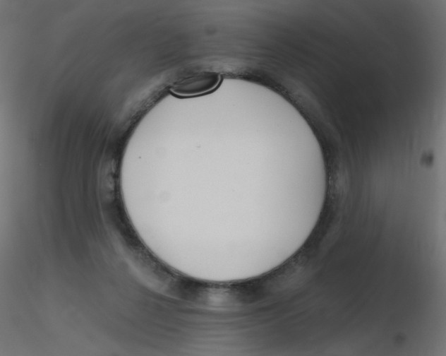 X0000116630264200912312206