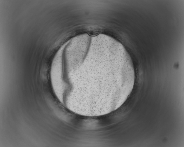 X0000116630266200912312206