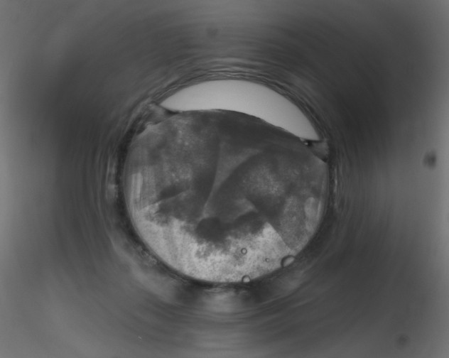 X0000116630267200912312206