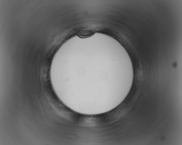 X0000116630268200912312206