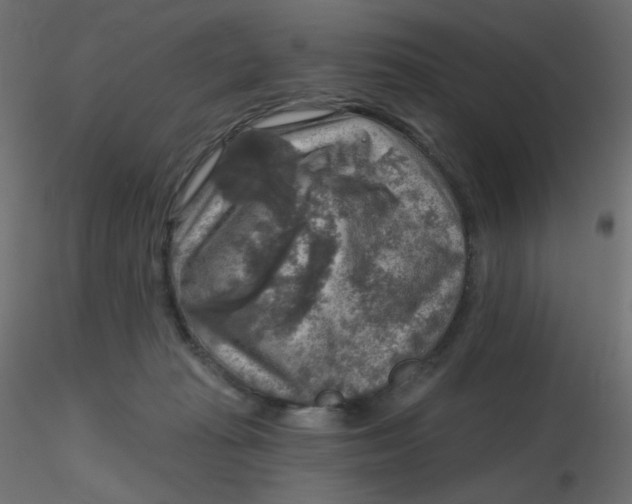X0000116630269200912312206