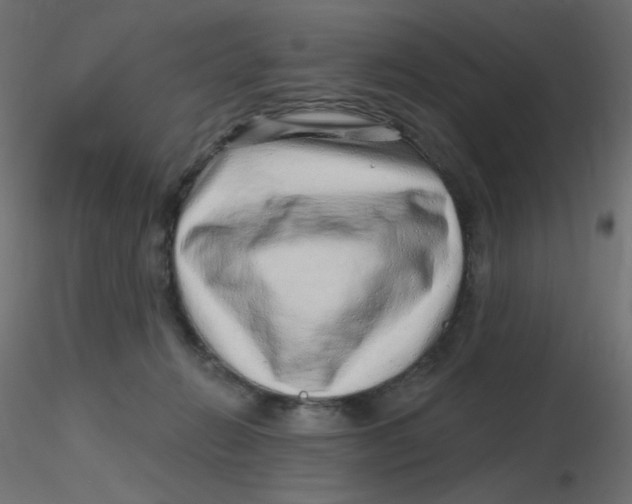 X0000116630270200912312206