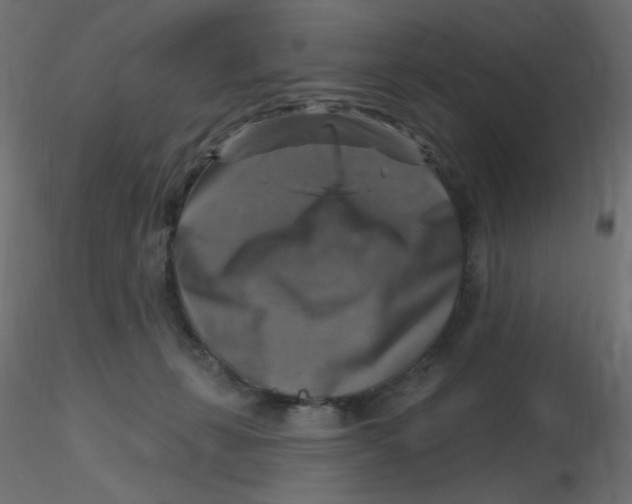 X0000116630271200912312206