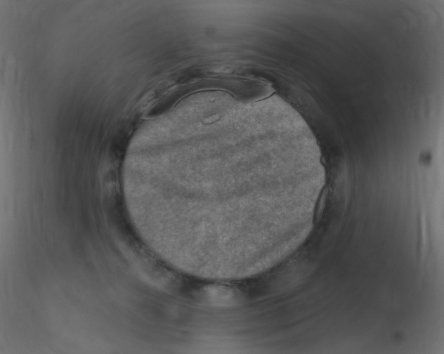 X0000116630272200912312206