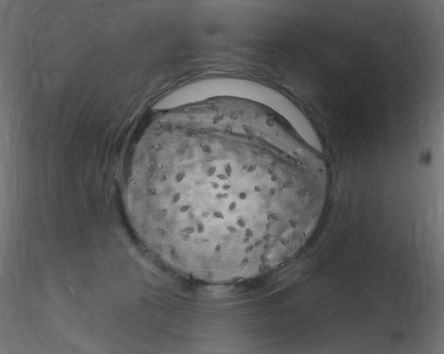 X0000116630273200912312206