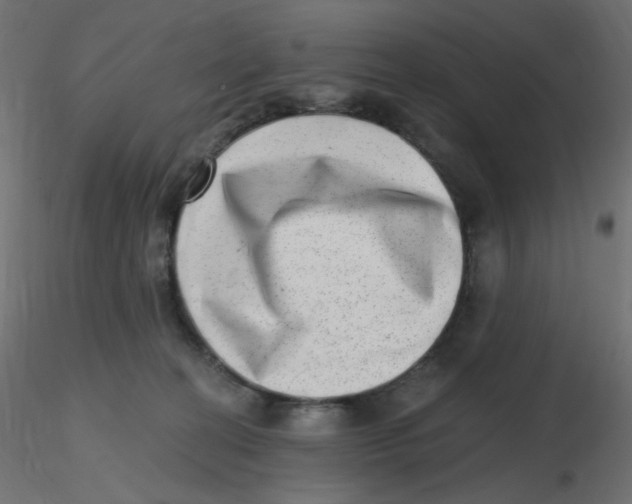 X0000116630274200912312206