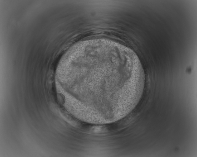 X0000116630275200912312206