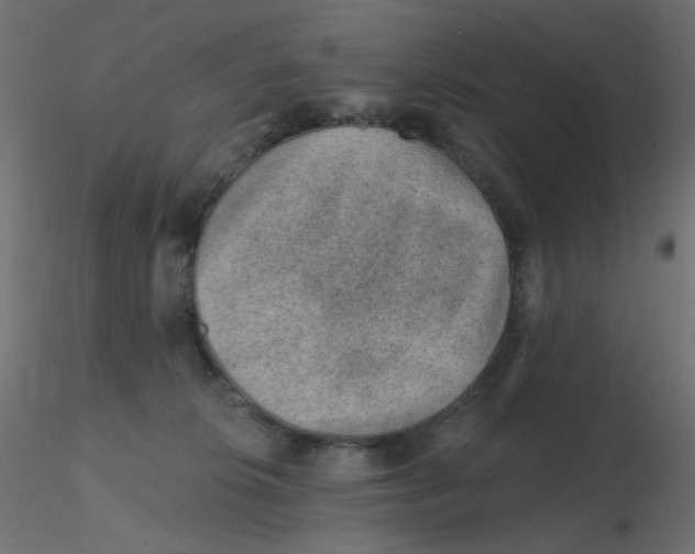 X0000116630276200912312206