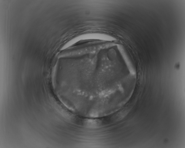X0000116630277200912312206