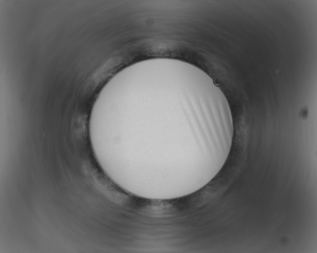 X0000116630278200912312206