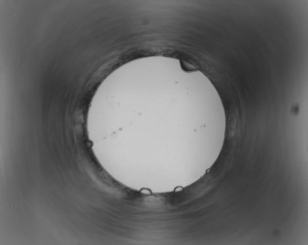 X0000116630279200912312206