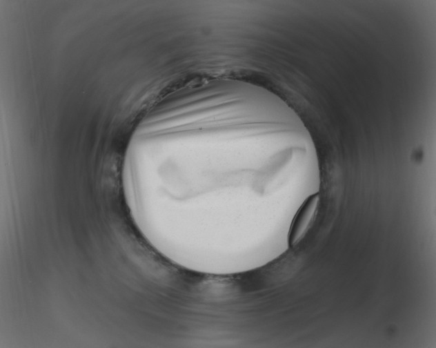 X0000116630280200912312206