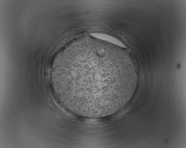 X0000116630281200912312206