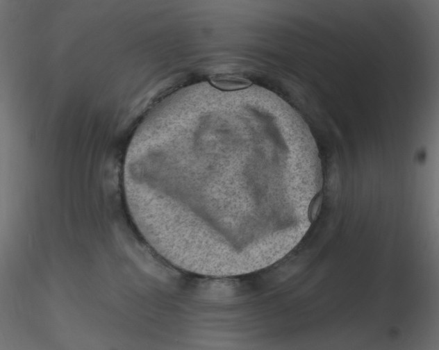 X0000116630282200912312206