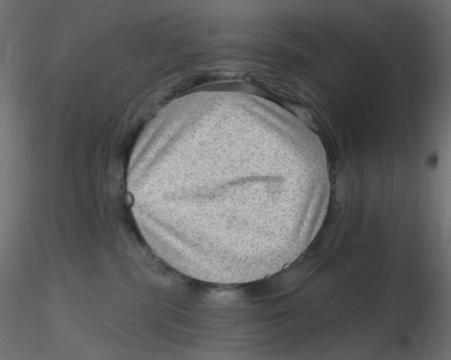 X0000116630283200912312206