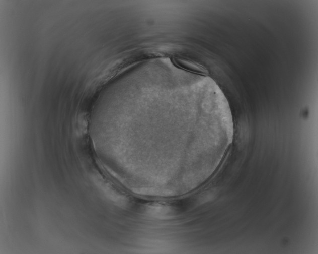 X0000116630284200912312206