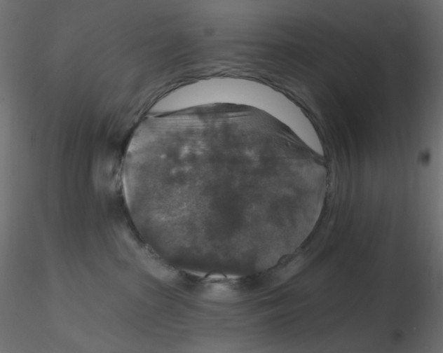 X0000116630285200912312206