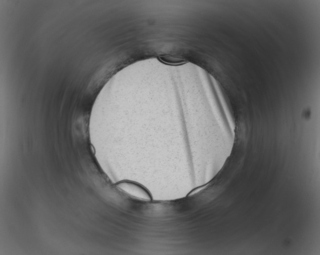 X0000116630286200912312206