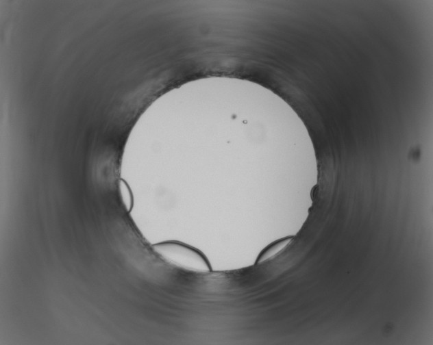 X0000116630287200912312206