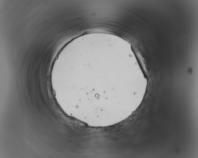 X0000116630289200912312205