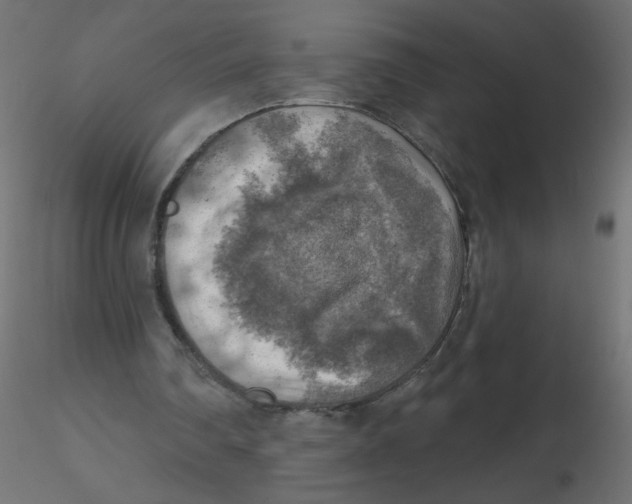 X0000116630290200912312205