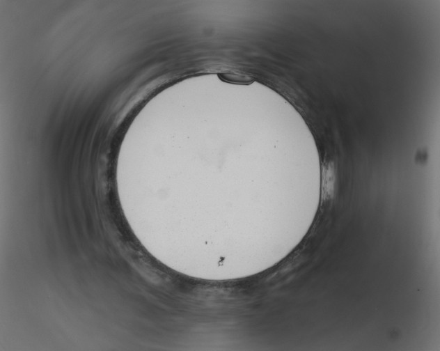 X0000116630291200912312205