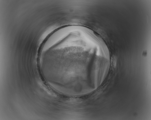 X0000116630292200912312205
