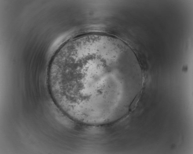 X0000116630293200912312205